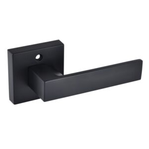 LEVER DUMMY BLACK SQUARE